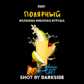 Табак Dark Side Shot Полярный 30г Акцизный